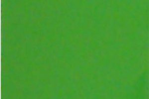 رنگ پودری الکترواستاتیک سبز 6018 ساده